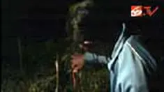 Tingginya harga cabai akhir-akhir ini menyebabkan para petani di Temanggung, Jateng, terpaksa menggelar ronda malam di ladang. Sebab, saat memasuki masa petik rawan pencurian. 