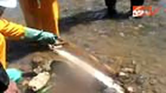 Mayat Bayi Terapung di Sungai Cigede