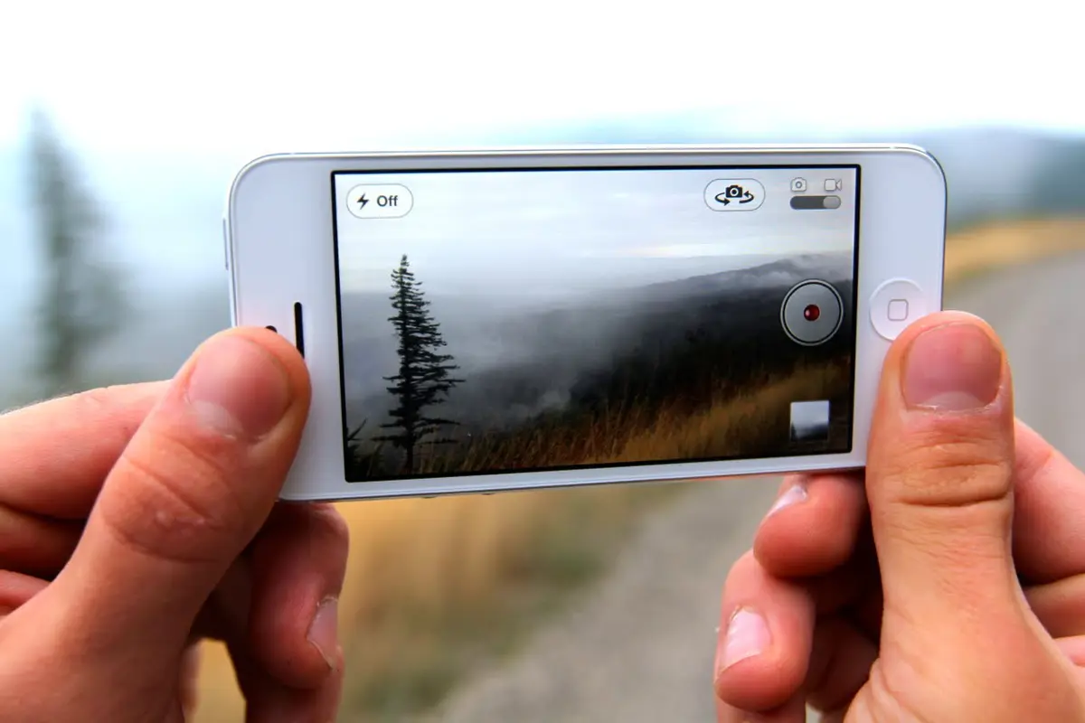 Cuma Pakai Kamera iPhone, 15 Foto Ini Sabet Penghargaan