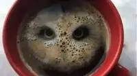 Burung Hantu atau Kopi? Gambar Pertama Dilihat Ungkap Cara Berpikirmu