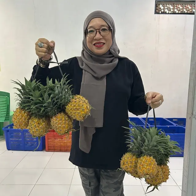 Manisnya Nanas Purbalingga: NanasQu Binaan Pertamina Gandeng 900 Petani Lokal Tembus Pasar Ekspor