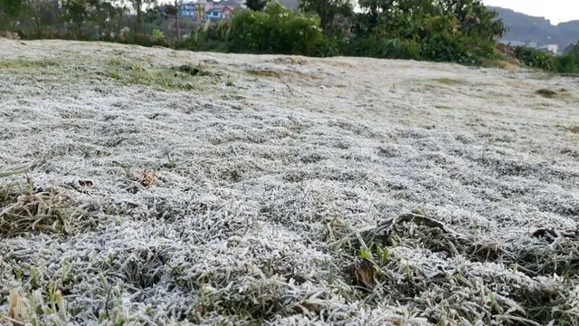 Embun es Dieng berpeluang tinggi muncul pada Juli-Agustus 2018. (Foto: Liputan6.com/Pemdes Dieng/Muhamad Ridlo)