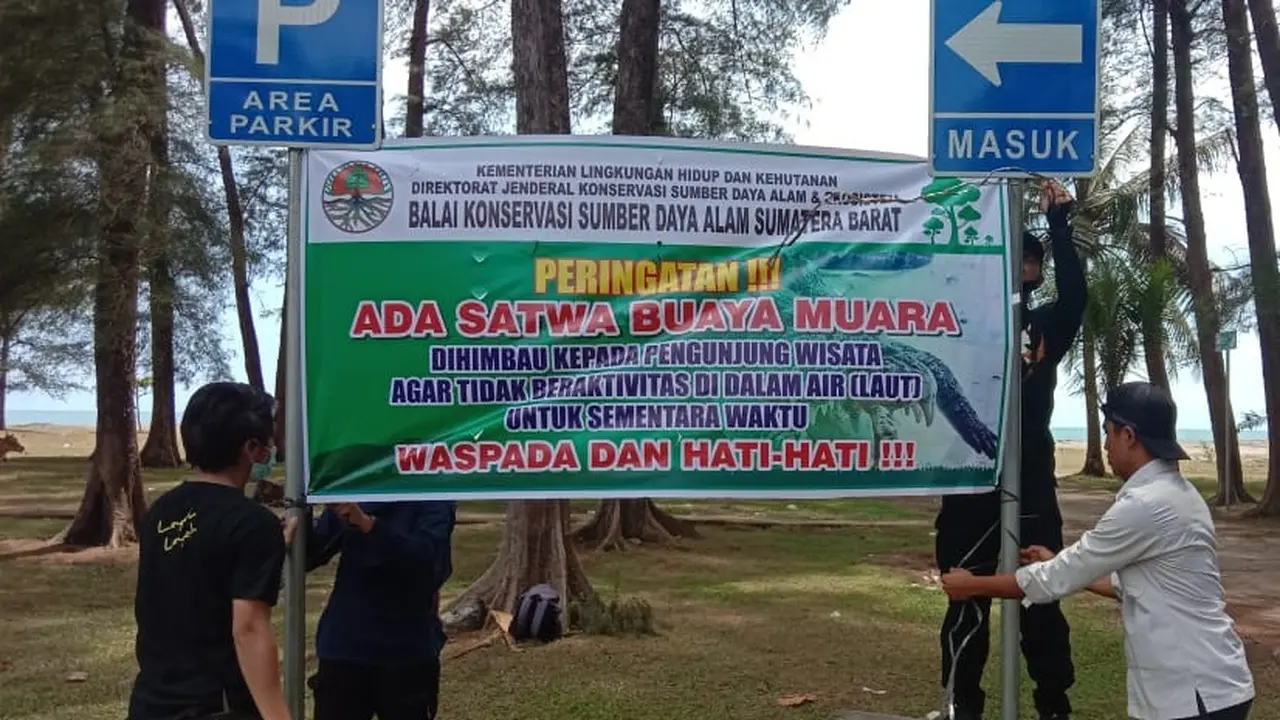 BKSDA resor agam memasang spanduk peringatan ada buaya muara di Pantai Tiku. (Liputan6.com/ BKSDA Agam)