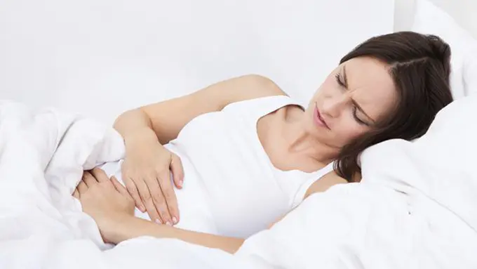 copyright by Shutterstock.com