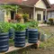 Tips Menata Galon Bekas sebagai Pot Sayur agar Tumbuh Subur, Perhatikan Setiap Detailnya