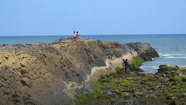 Pantai Watu Ulo Jember (Istimewa)