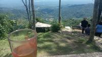 Teh khas dari samigaluh