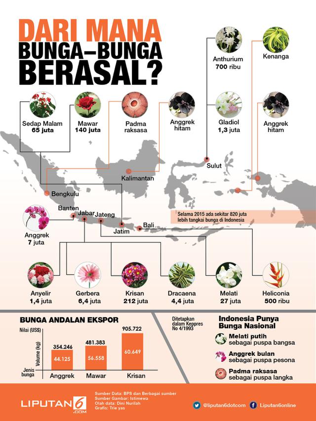 infografis wilayah penghasil bunga