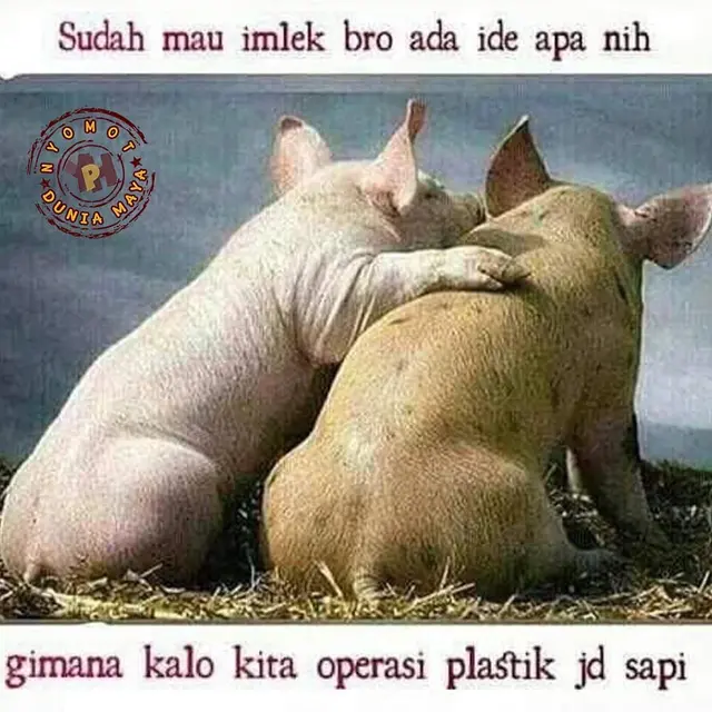 10 Meme Kocak saat Hari Raya Imlek Ini Bikin Senyum Tipis