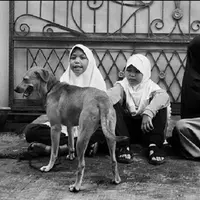 Hesti Sutrisno, wanita bercadar ini tak mempermasalahkan air liur saat memutuskan memelihara anjing. (Sumber Foto: Kapanlagi.com)