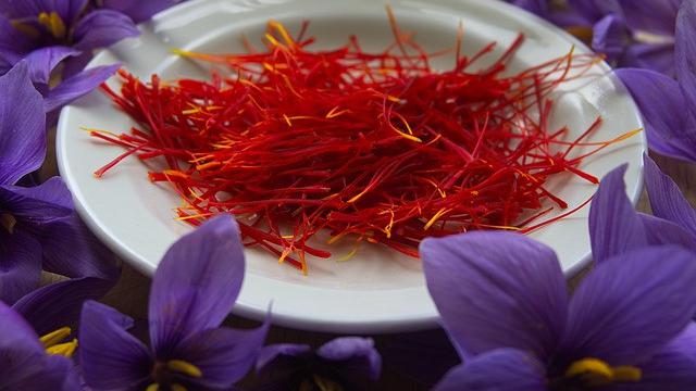 Ilustrasi Saffron
