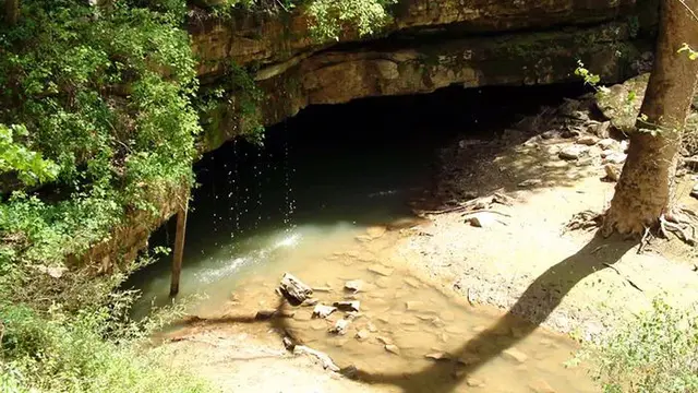 Mammoth Cave di Kentucky, Amerika Serikat