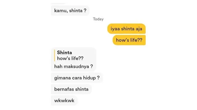 7 Chat Netizen Kenalan Lewat Bumble Ini Kocak Banget, Enggak Habis Pikir