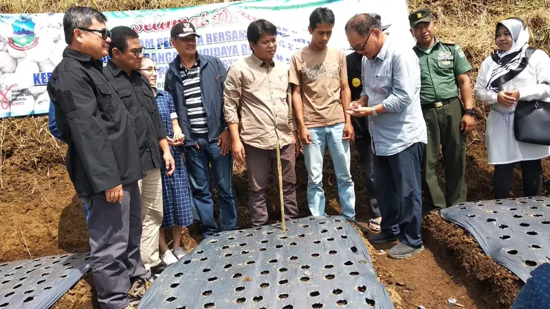 Bupati Garut Rudy Gunawan memimpin langsung penanaman perdana bibit bawang putih di daerah Cigadog, Garut, Jawa Barat