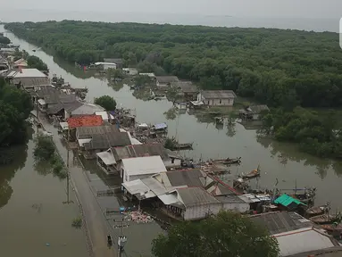 Foto udara banjir rob yang menggenangi rumah dan tambak warga di Desa Pantai Mekar, Muaragembong, Kabupaten Bekasi, Jawa Barat, Senin (6/12/2021). Banjir rob telah menggenangi wilayah tersebut selama empat hari akibat kenaikan permukaan air laut. (Liputan6.com/Herman Zakharia)