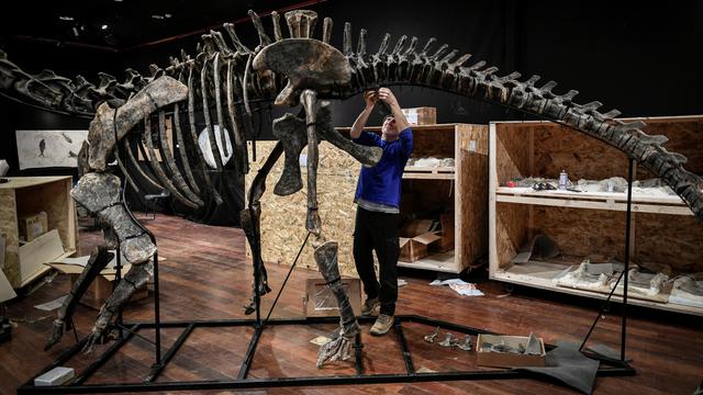 Lelang Fosil Dinosaurus di Paris