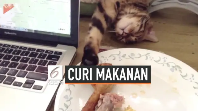 Kucing punya segala trik untuk melakukan modus operandi pencurian makanan. Salah satunya adalah kucing ini yang pura-pura tidur saat mencuri ayam goreng.