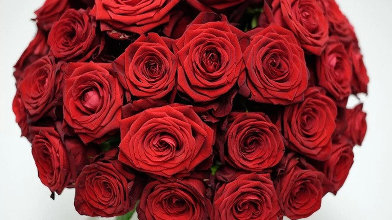 Hadiah Mewah di Hari Valentine, Buket Bunga Merah Rp 98 Juta