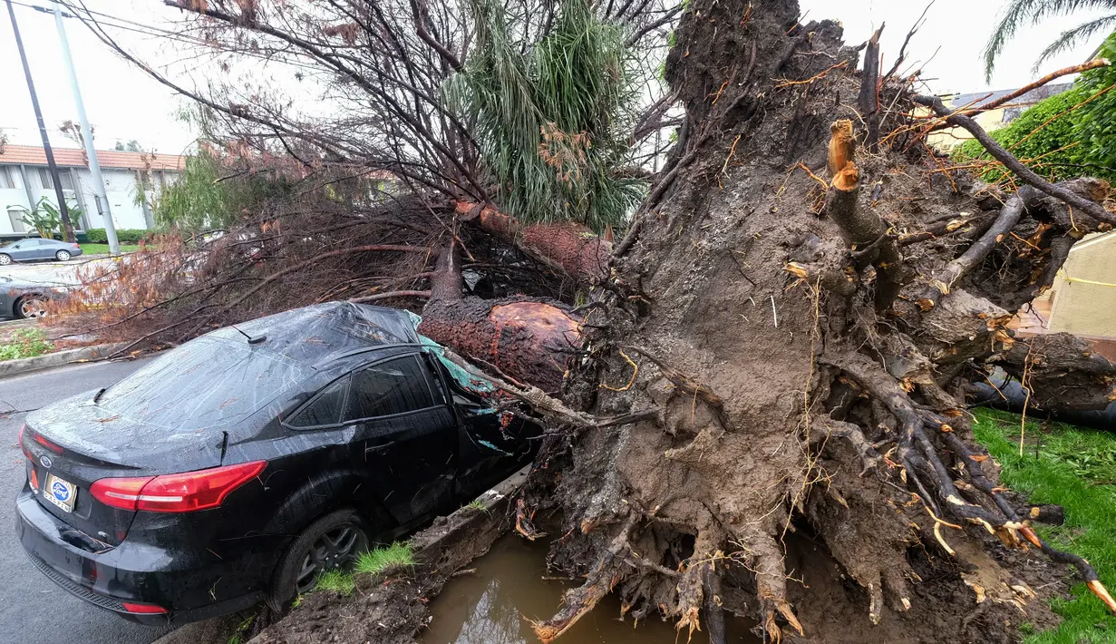 Petugas berdiri di samping lubang besar atau sinkhole di jalanan Studio City usai hantaman badai di Los Angeles, California, (18/2). Akibat kejadian ini Dua mobil jatuh ke dalam lubang besar dengan kedalaman 20 kaki tersebut. (AP Photo/Ringo H.W. Chiu)