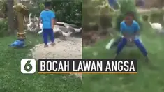 Inilah dia aksi bocah laki-laki saat mengusir angsa tetapi angsanya tidak mau diusir dan akhirnya pertengkaran pun terjadi.