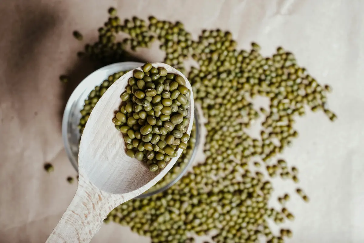 Kacang Hijau