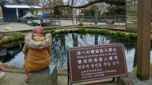Oshino Hakkai, Jepang