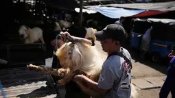 Para pekerja memuat seekor kambing ke bak truk menjelang Hari Raya Idul Adha 1447 Hijriah di Jakarta, Selasa 26 Mei 2026. (AP Photo/Dita Alangkara)
