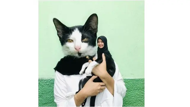 5 Editan Foto Kucing Tukar Wajah dengan Pemiliknya Ini Bikin Geleng Kepala