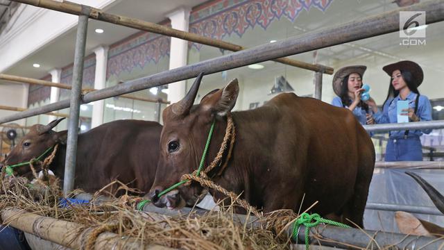 SPG Mall Hewan Kurban