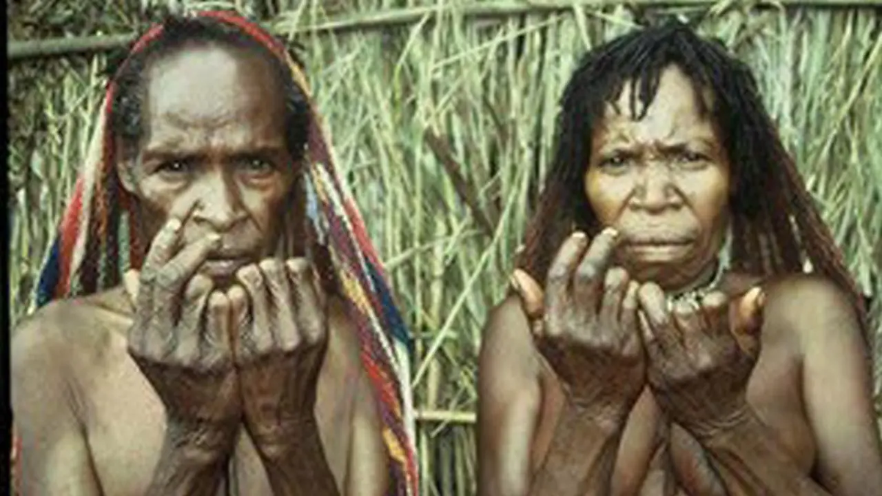 131130bpapua.jpg