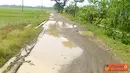 Citizen6, Sumedang: Jalan sepanjang empat Kilometer yang menghubungkan Desa Kudanwangi dan Desa Keboncau, Kecamatan Ujungjaya, Kabupaten Sumedang dalam kondisi yang memprihatinkan. (Pengirim: Alfa Heryana)
