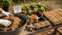 Jenis Pupuk Agar Pohon Buah Mini Cepat Berbuah, Rahasia Berbuah Lebat