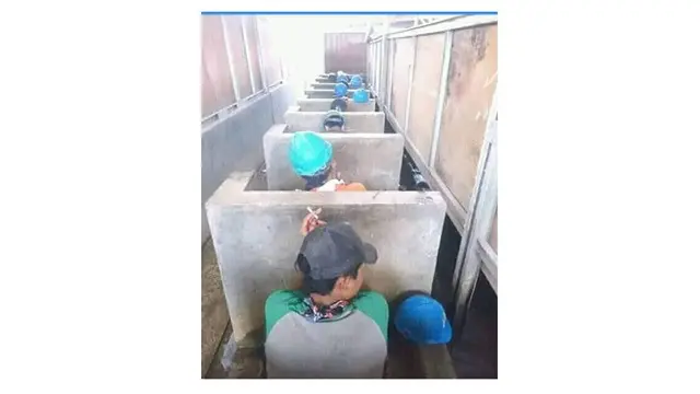 Toilet Nyeleneh (Sumber: Instagram/@selfiekamarmandi)