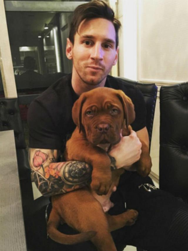 Lionel Messi memelihara anjing berjenis English Mastiff.
