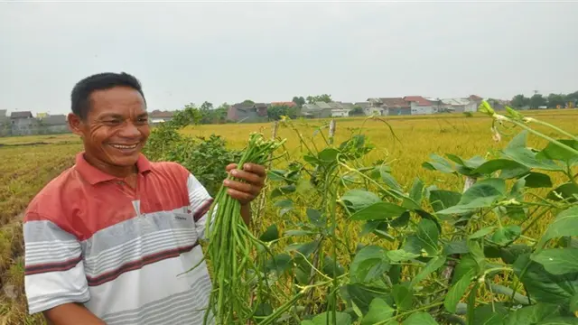 Hari Pangan Sedunia