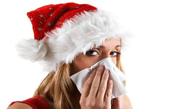 Alergi Saat Natal