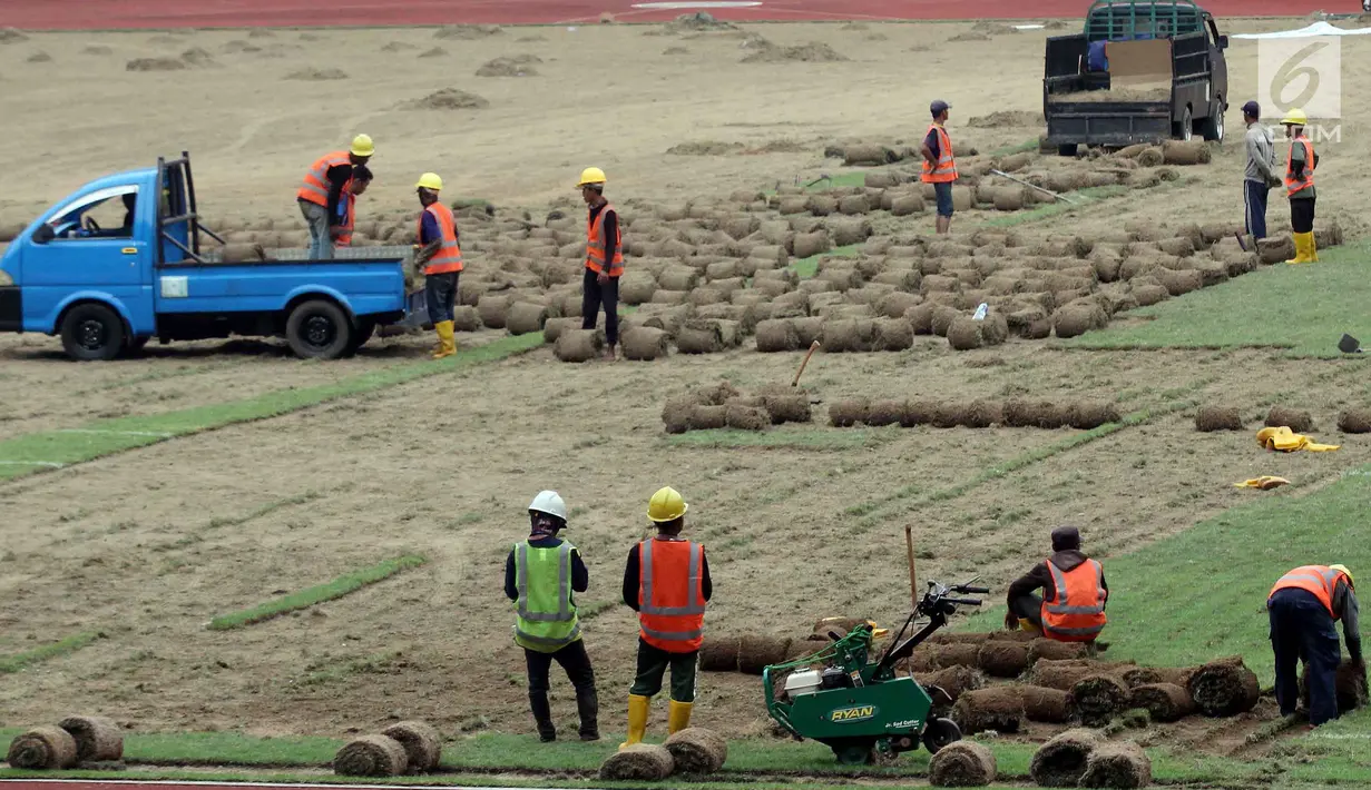 Pekerja memindahkan rumput yang ada di Stadion Utama Gelora Bung Karno (SUGBK) ke area panahan, Jakarta, Jumat (18/5). Pemindahan ini sebagai bagian dari persiapan pembukaan Asian Games 2018. (Liputan6.com/Johan Tallo)