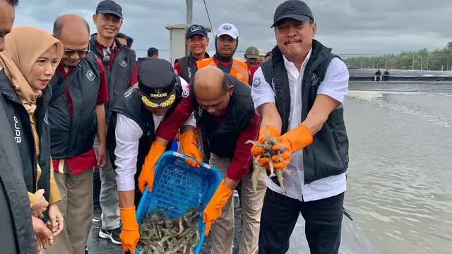Menteri Kelautan dan Perikanan (KKP) Sakti Wahyu Trenggono melakukan Panen raya secara parsial kedua di Tambak Budidaya Udang Berbasis Kawasan (BUBK) di Kabupaten Kebumen, Provinsi Jawa Tengah. (Tira/Liputan6.com)