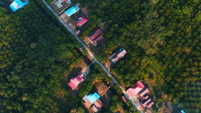 Perkebunan kelapa sawit di Kubu Raya, Kalbar. (Foto: Liputan6.com/Aceng Mukaram)