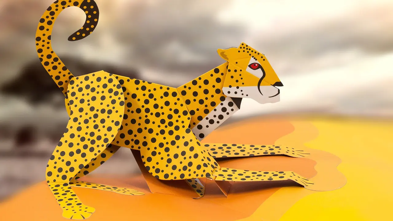 Pop Up Book