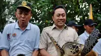 Menhut Zulkifli Hasan (kanan) melepaskan penyu sisik di kawasan Tambling Wildlife Nature Conservation, Taman Nasional Bukit Barisan Selatan, Lampung. (Antara)