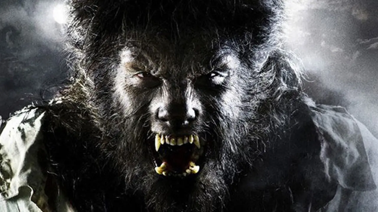 wolfman-131203c.jpg