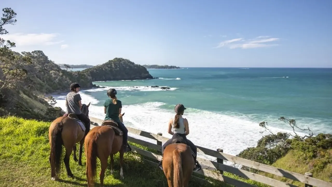 Northland – Terpilih sebagai salah satu destinasi ‘Terbaik di Dunia’ 2025 oleh National Geographic.