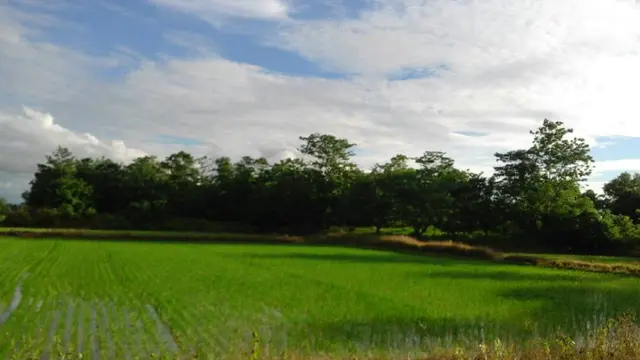 Rumah Kabira di Kabupaten Sidrap dahulu berada dalam kawasan hutan (Liputan6.com/ Eka Hakim)