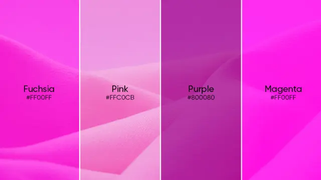 Warna Fuschia