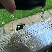 Sebuah seni gambar yang menggunakan tinta modern dan hanya bisa dilihat jika terkena air.