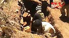 liputan6
