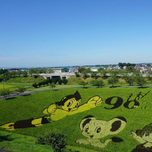 Uniknya Tanbo Art, Seni Melukis Sawah Ala Masyarakat Jepang