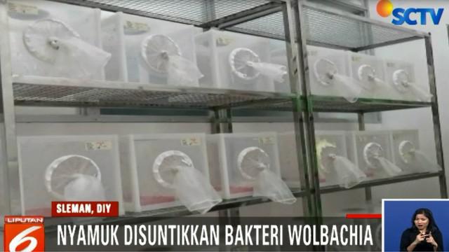 Berita Yogyakarta Hari Ini - Kabar Terbaru Terkini 