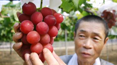 Anggur Ruby Roman Jepang hanya dikembangbiakkan di Ishikawa Prefecture di Jepang.  Buah anggur ini tumbuh besar hampir seperti bola tenis meja. Harganya dijual dengan bandrol US$ 6.400 atau Rp 77,83 juta per ikat. (www.independent.co.uk)